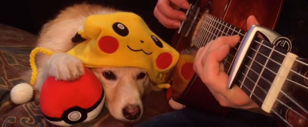 Dog Not Impressed With Pokemon Theme Song | Video