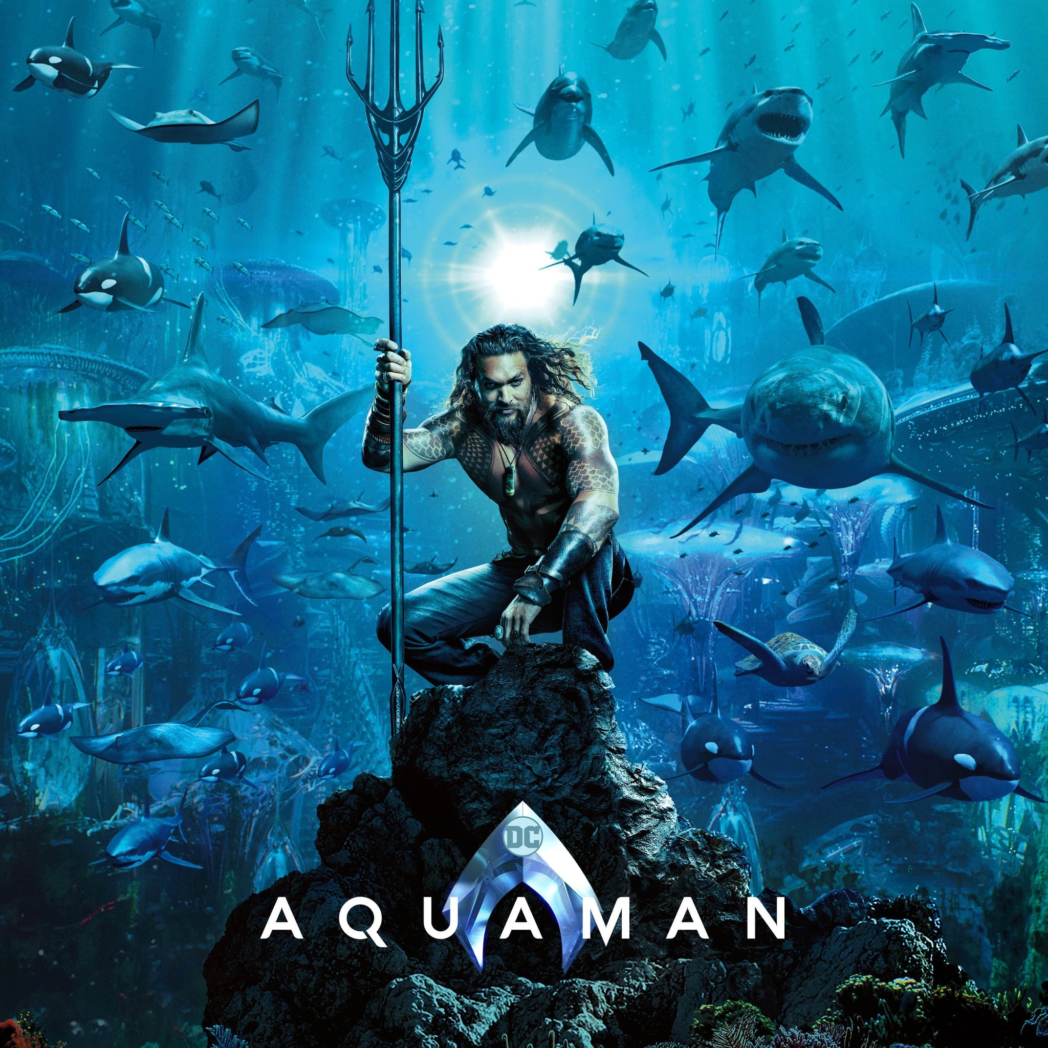 Aquaman Movie Poster Memes July 2018 | POPSUGAR Entertainment