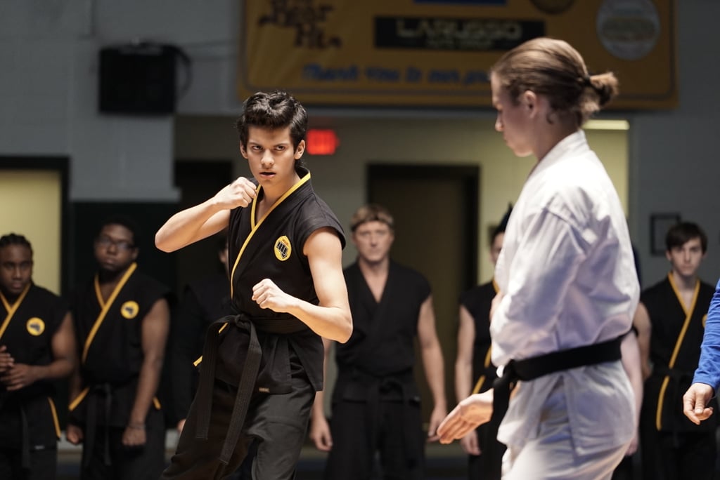 Cobra Kai, Seasons 1 & 2