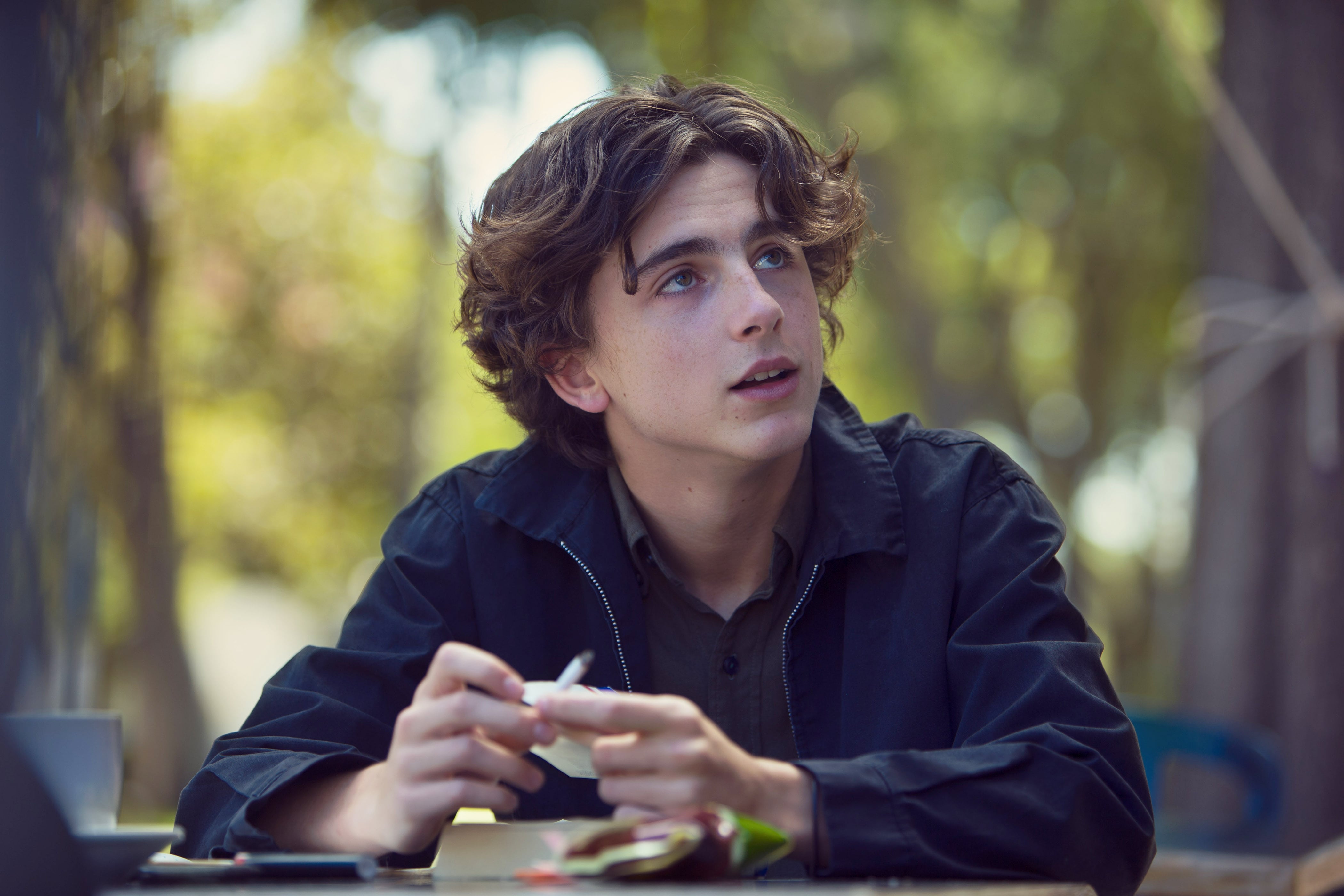 timothee chalamet call me by your name