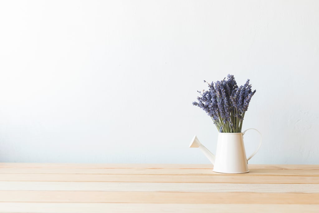 Display Lavender