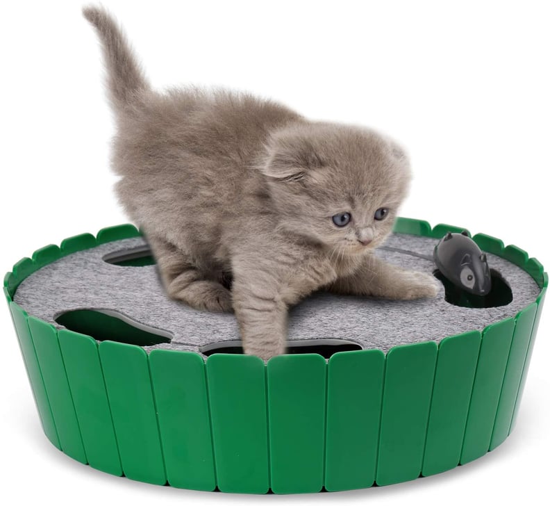 Cat Toys: Best Cat Toys To Keep Your Cat Entertained