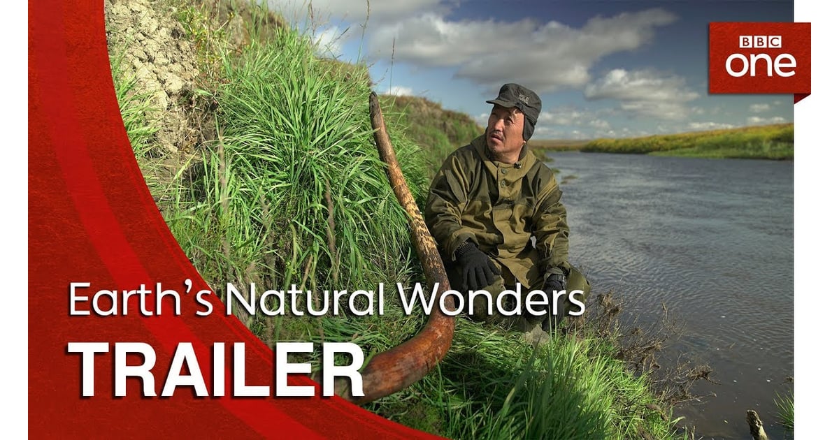 Earth's Natural Wonders Best Nature Shows on Netflix 2019 POPSUGAR