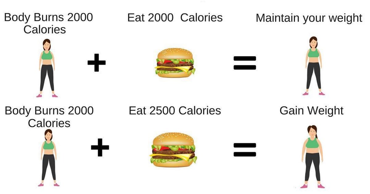 How Many Calories You Should Be Burning and Eating ...