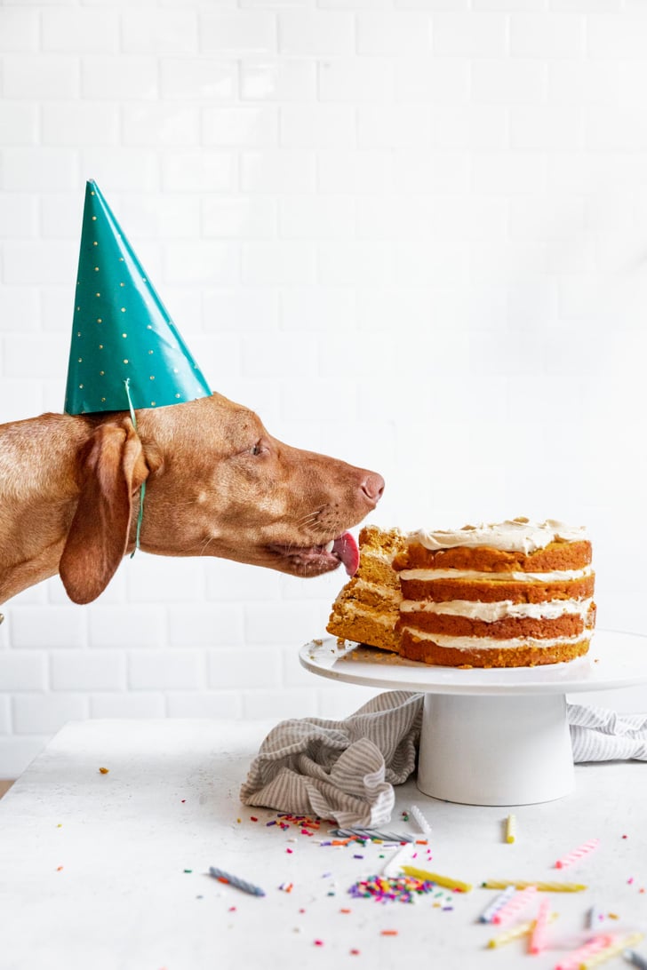 Pumpkin Peanut Butter Dog Layer Cake Birthday Cake Recipes and Ideas For Dogs POPSUGAR Pets