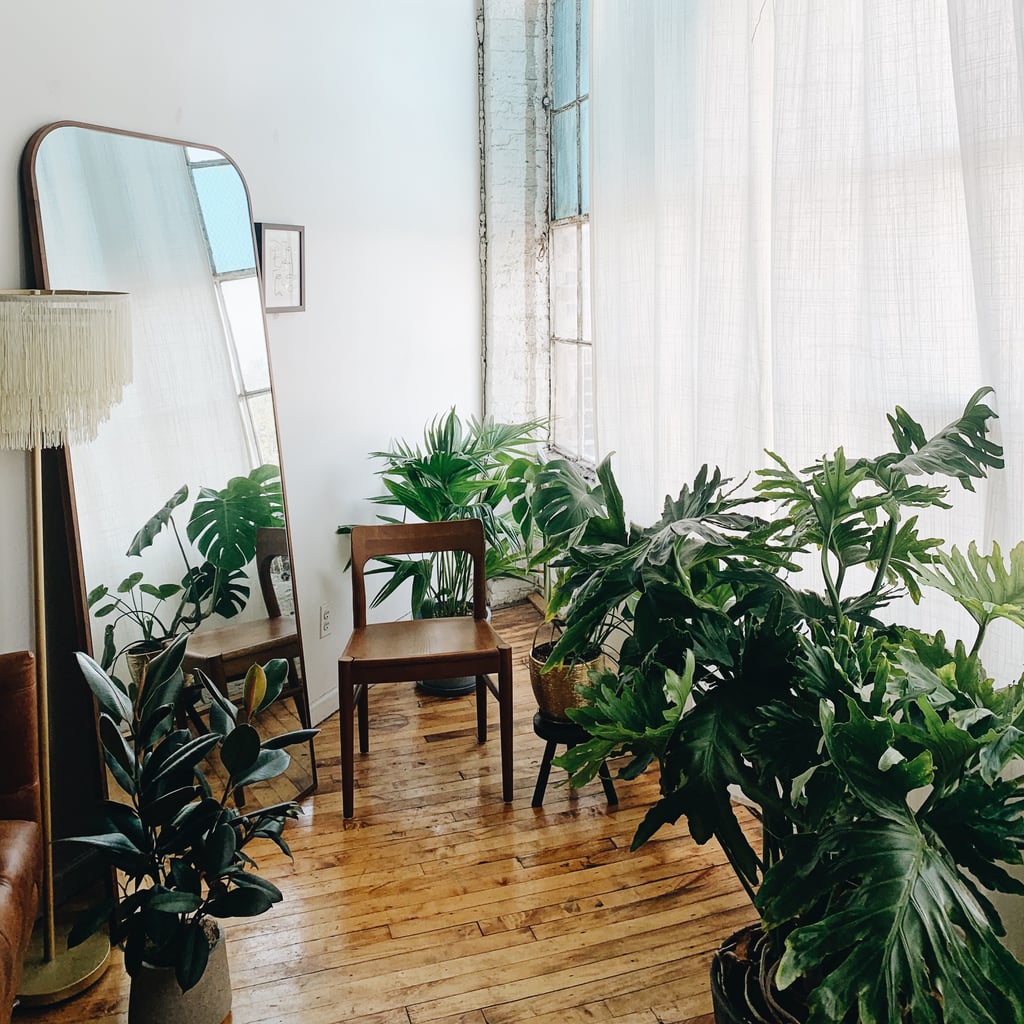 I Have 17 Plants at Home, and They're All Healthy and Growing — Here Are My Secrets