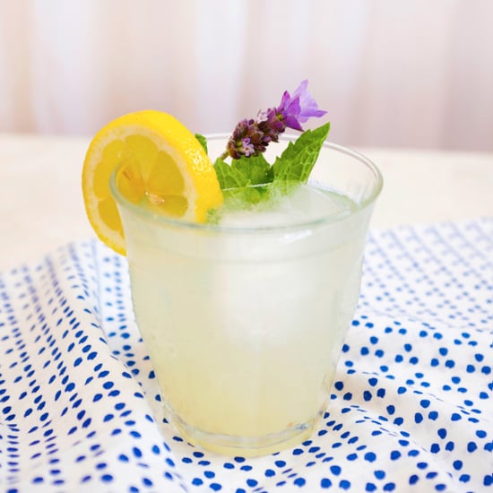 LaCroix Cocktail Recipes | Link Time