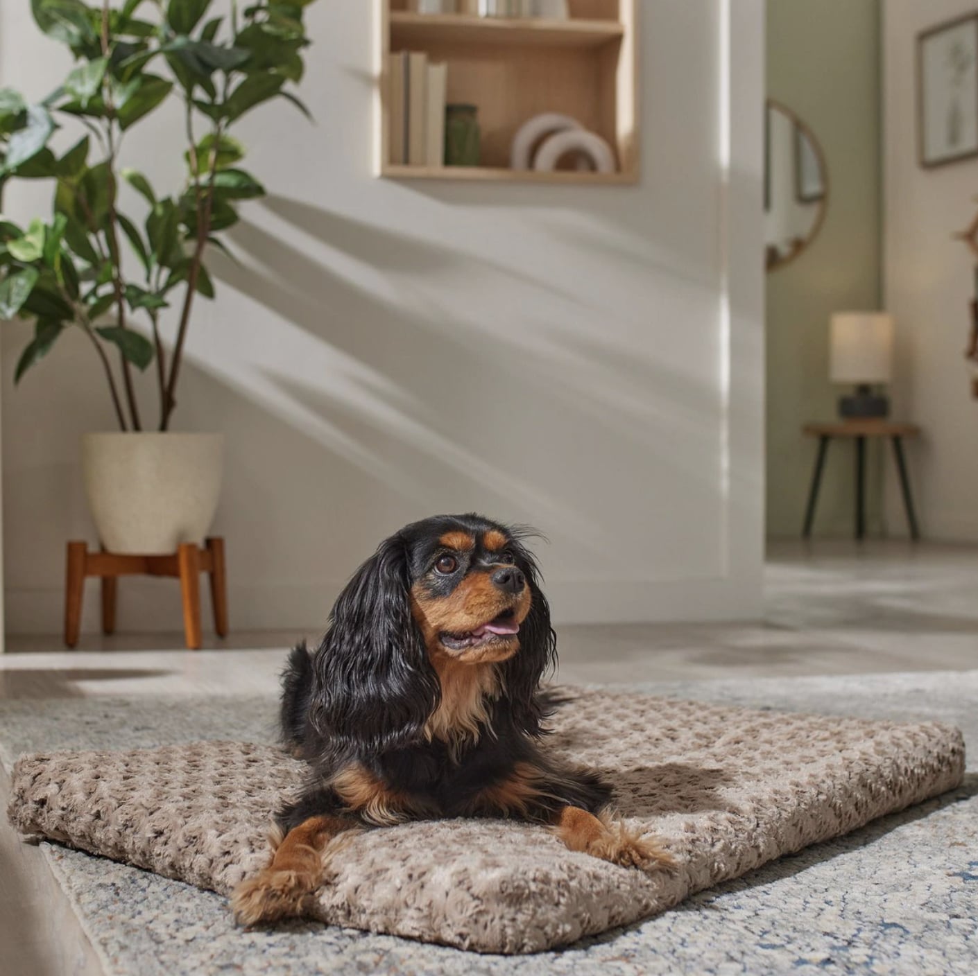 Frisco mocha swirl pet discount bed & crate mat