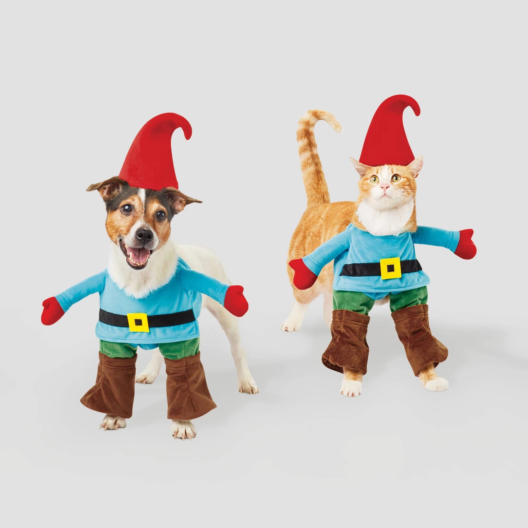 Download Gnome Dog And Cat Costume No Time To Sit Or Stay These Pet Halloween Costumes From Target Are Just What You Need Popsugar Pets Photo 12