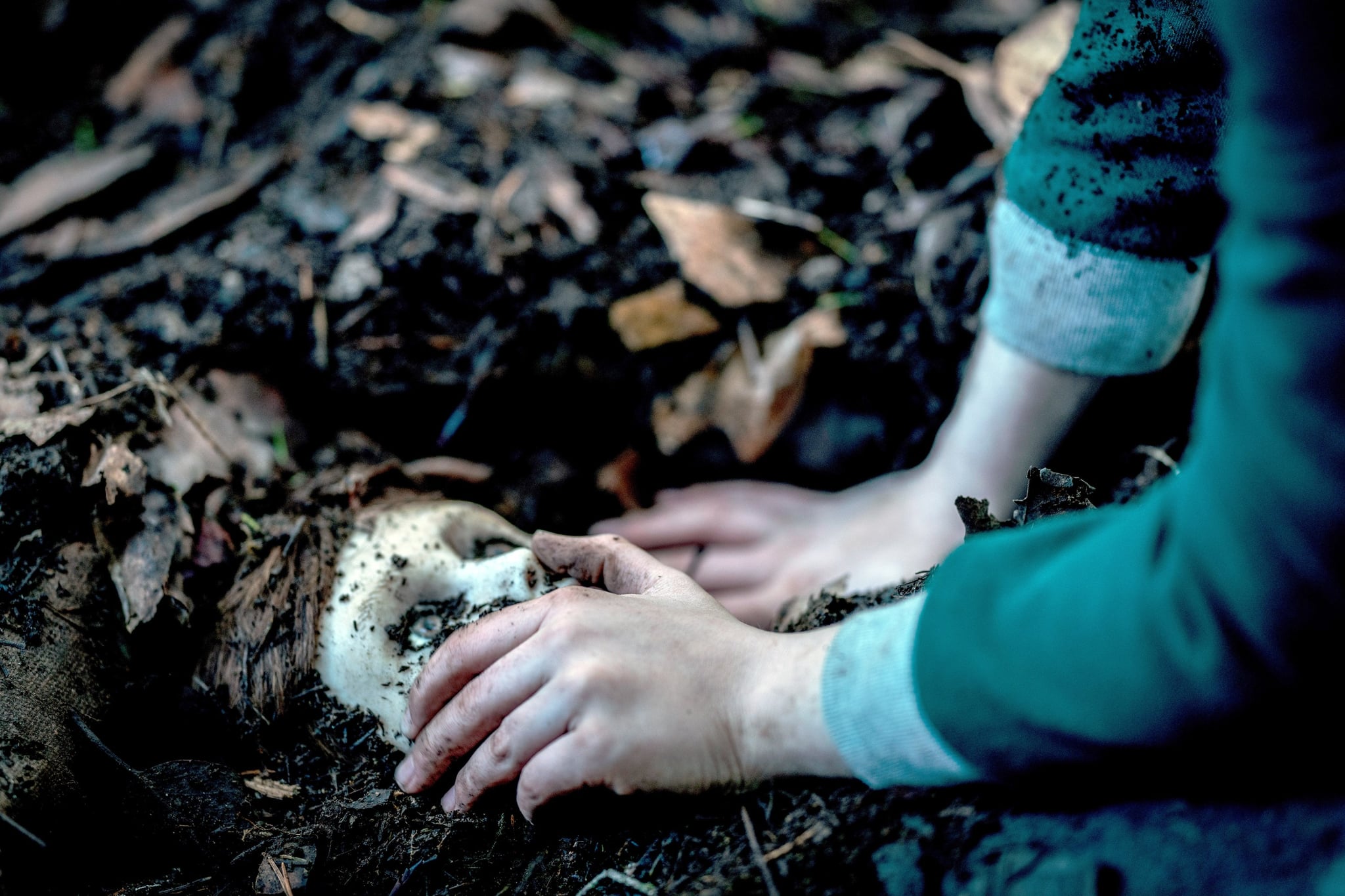 BRAHMS: THE BOY II, Brahms, 2020. photo: David Bukach /  STX Films / courtesy Everett Collection