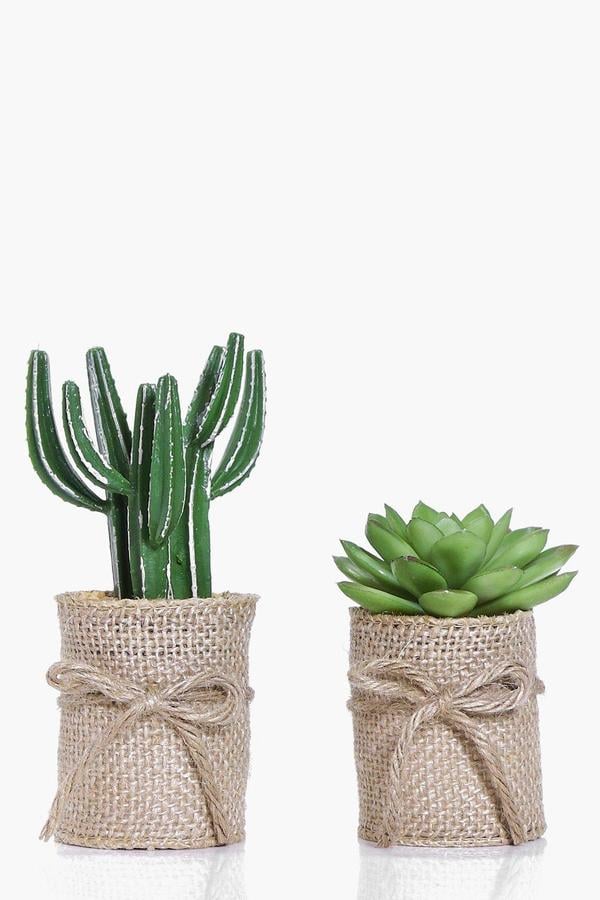 Boohoo 2 Hessian Wrap Faux Cactus & Aloe Plants