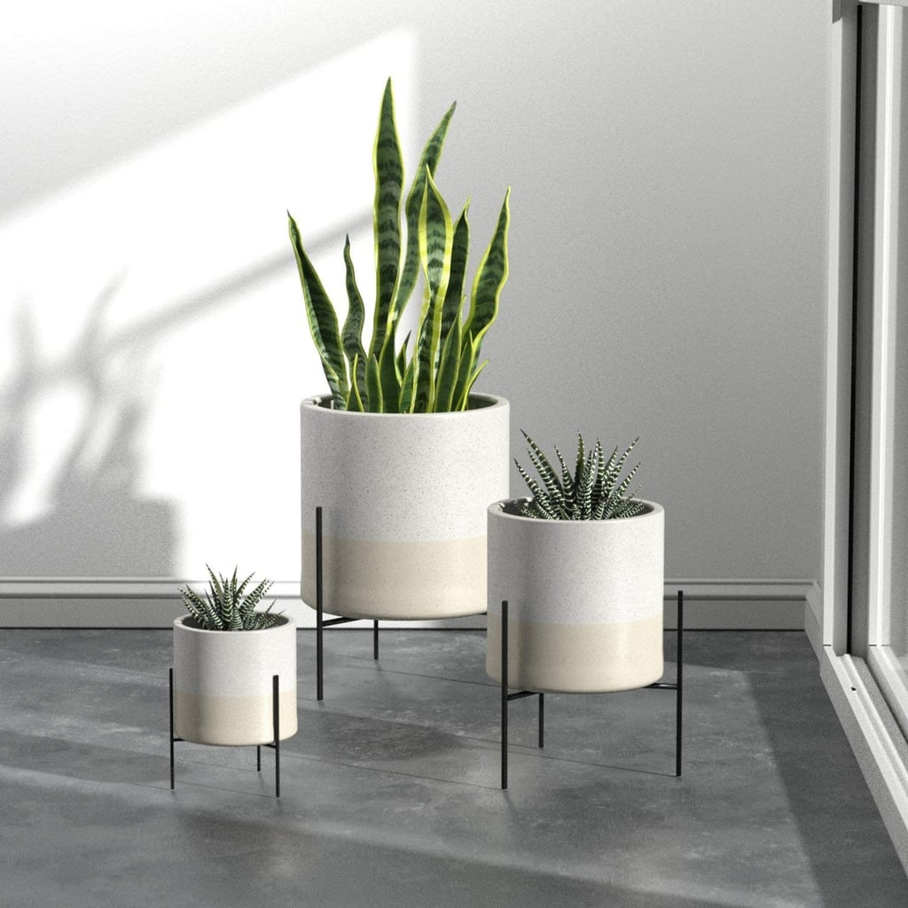 For Plant-Lovers: Rivet Mid-Century Ceramic Planter With Stand