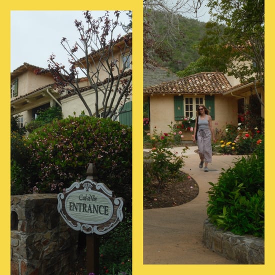 I Took a Dopamine Reset Trip: Here's What I learned
