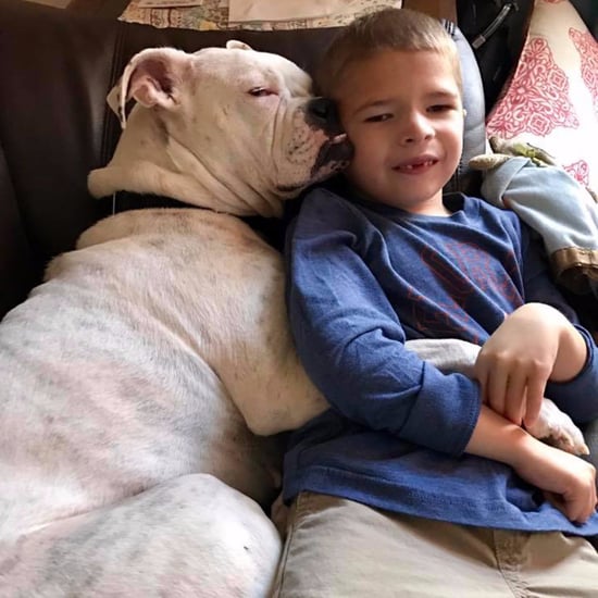 Facebook Post About Nonverbal Boy and His Deaf Dog