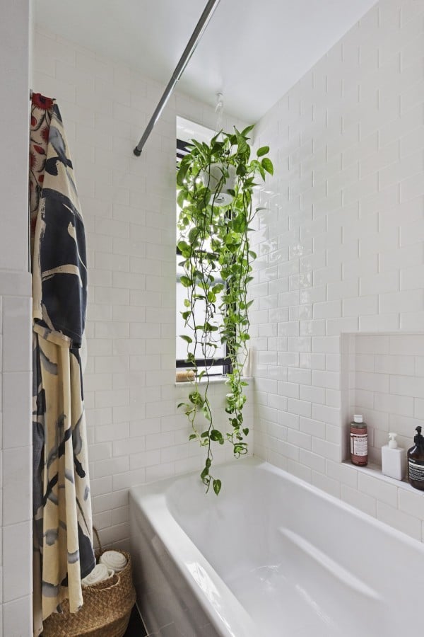 Small Bathroom Design Ideas