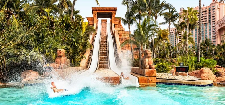 Water Slides at Aquaventure