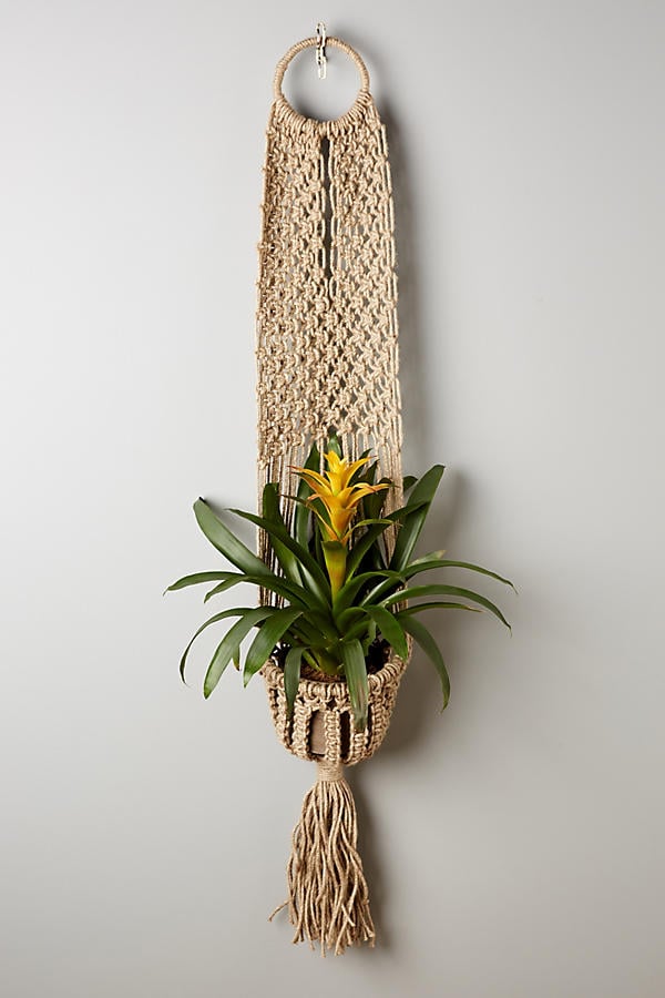 Anthropologie Macrame Plant Hanger