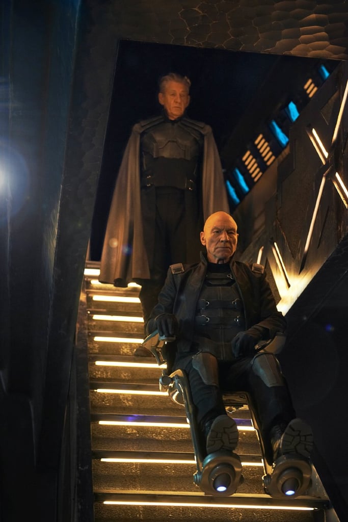 Magneto (Ian McKellan) and Professor Charles Xavier (Patrick Stewart) take matters seriously.