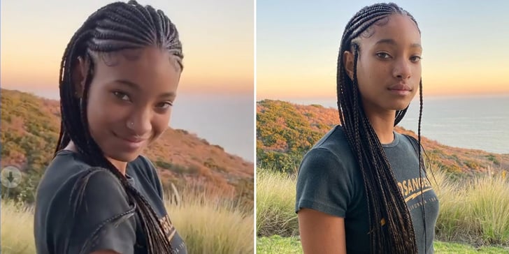 Willow Smith's Gorgeous Fulani Braid Hairstyle | POPSUGAR ...