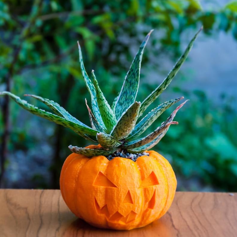 Pumpkin Planter