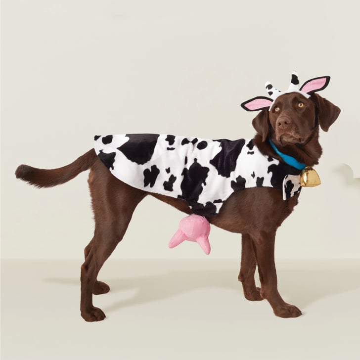 Cow Dog Costume Best Target Pet Halloween Costumes 2018 POPSUGAR