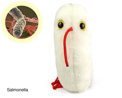 e coli plush