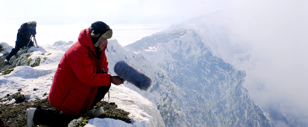 25 of the Greatest Nature Docs on Netflix (Because Who Wants to Actually Go Outside?)