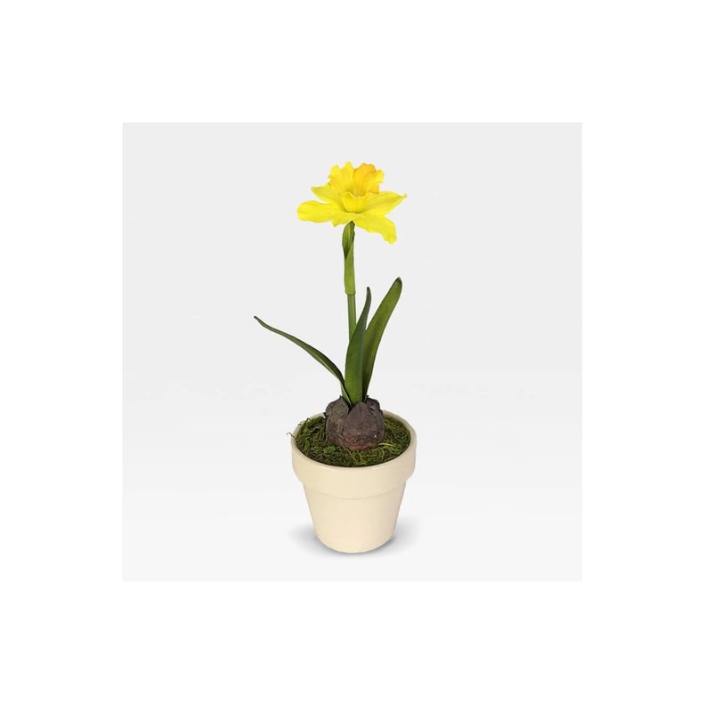 Artificial Daffodil
