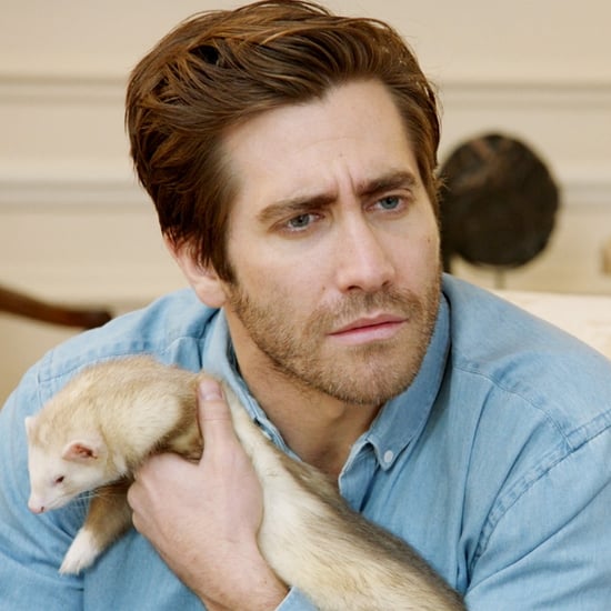 Amy Schumer Catfishes Jake Gyllenhaal | Video