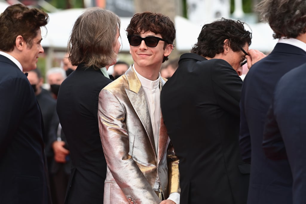 Timothée Chalamet Wears Silver Suit Outfit to Cannes: Photos