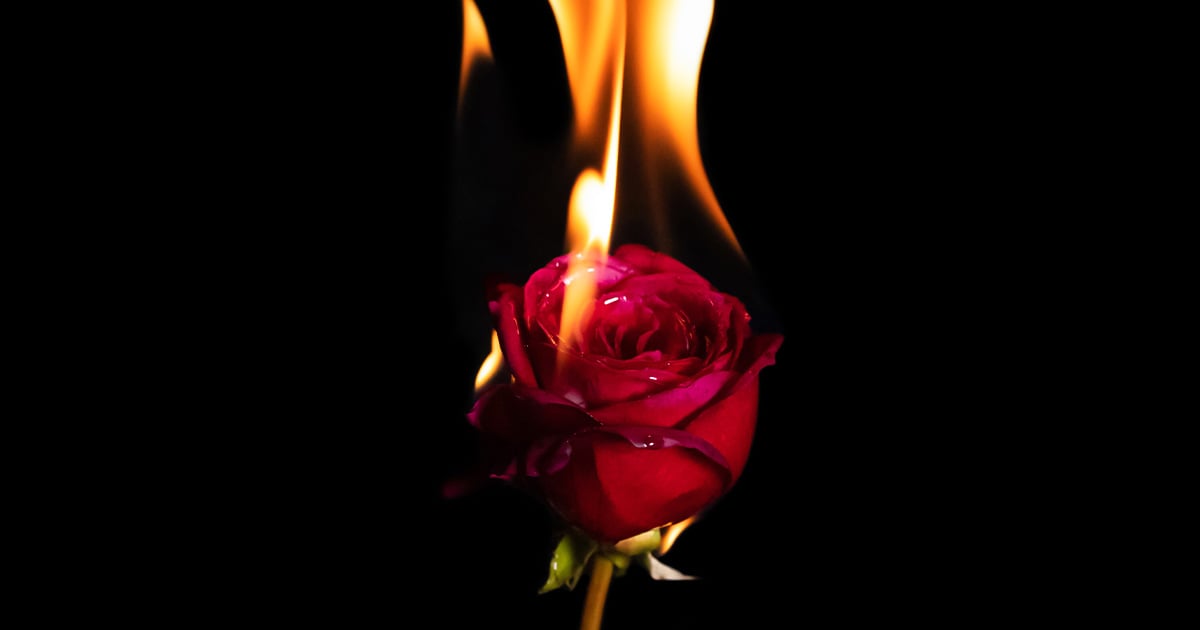 How Spicy Books Helped Their Sex Lives