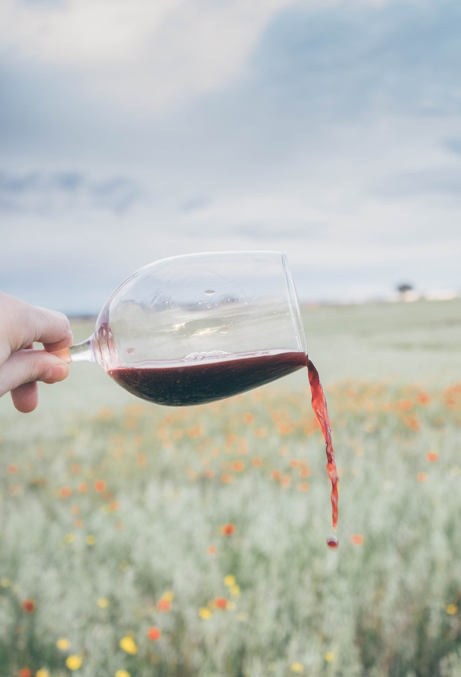 How to Get Out Red Wine Stains POPSUGAR Home