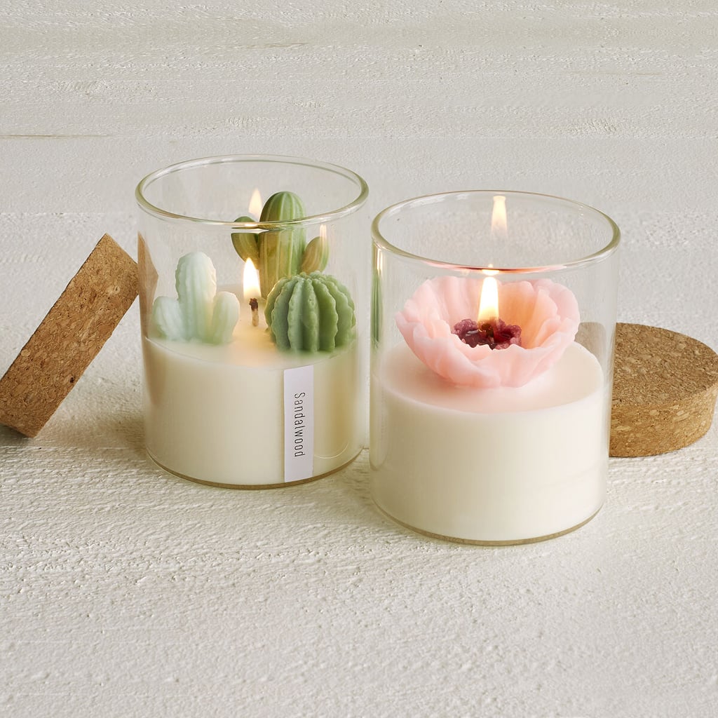 Cute Candles: Terrarium Candles