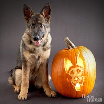 German Shepherd Downloadable Dog Breed Pumpkin Stencils