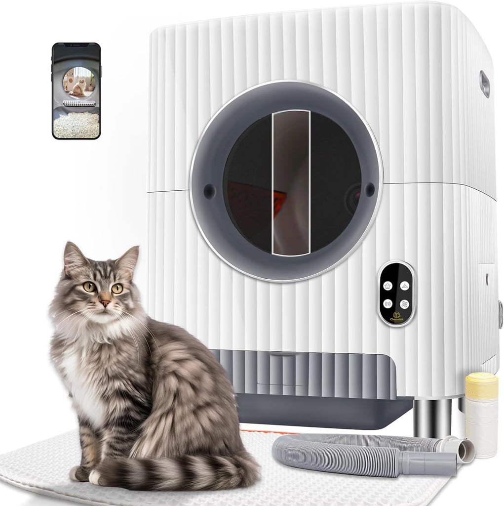Best Self-Cleaning Litter Box With Door