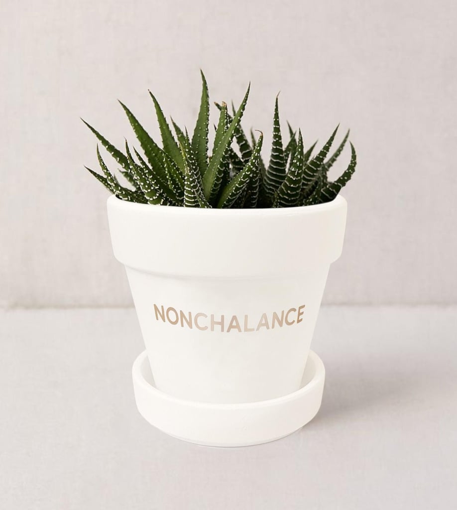 Nonchalance Planter