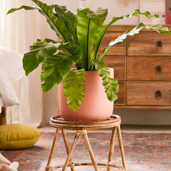 Just For Kicks: New Balance and Levi's Teamed Up For the Coolest Denim Sneakers