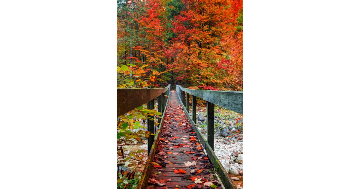 Fall Bridge iPhone Wallpaper | Best iOS 14 Fall Wallpapers ...