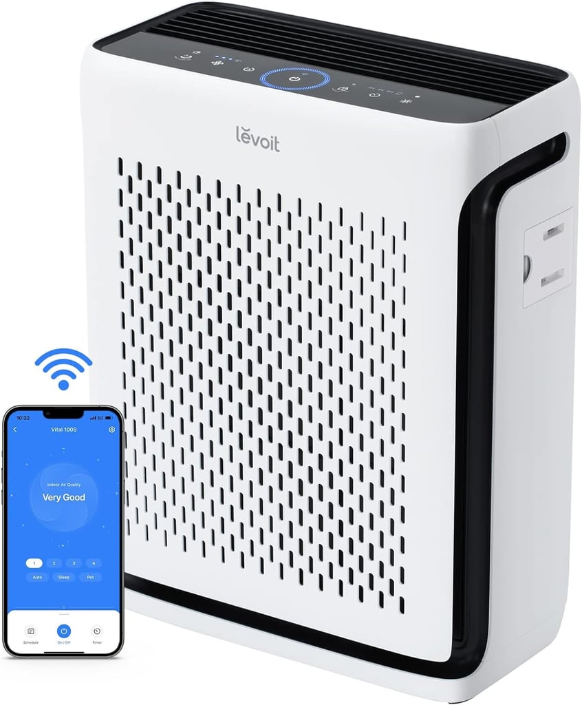 Best Air Purifier For Large Rooms
