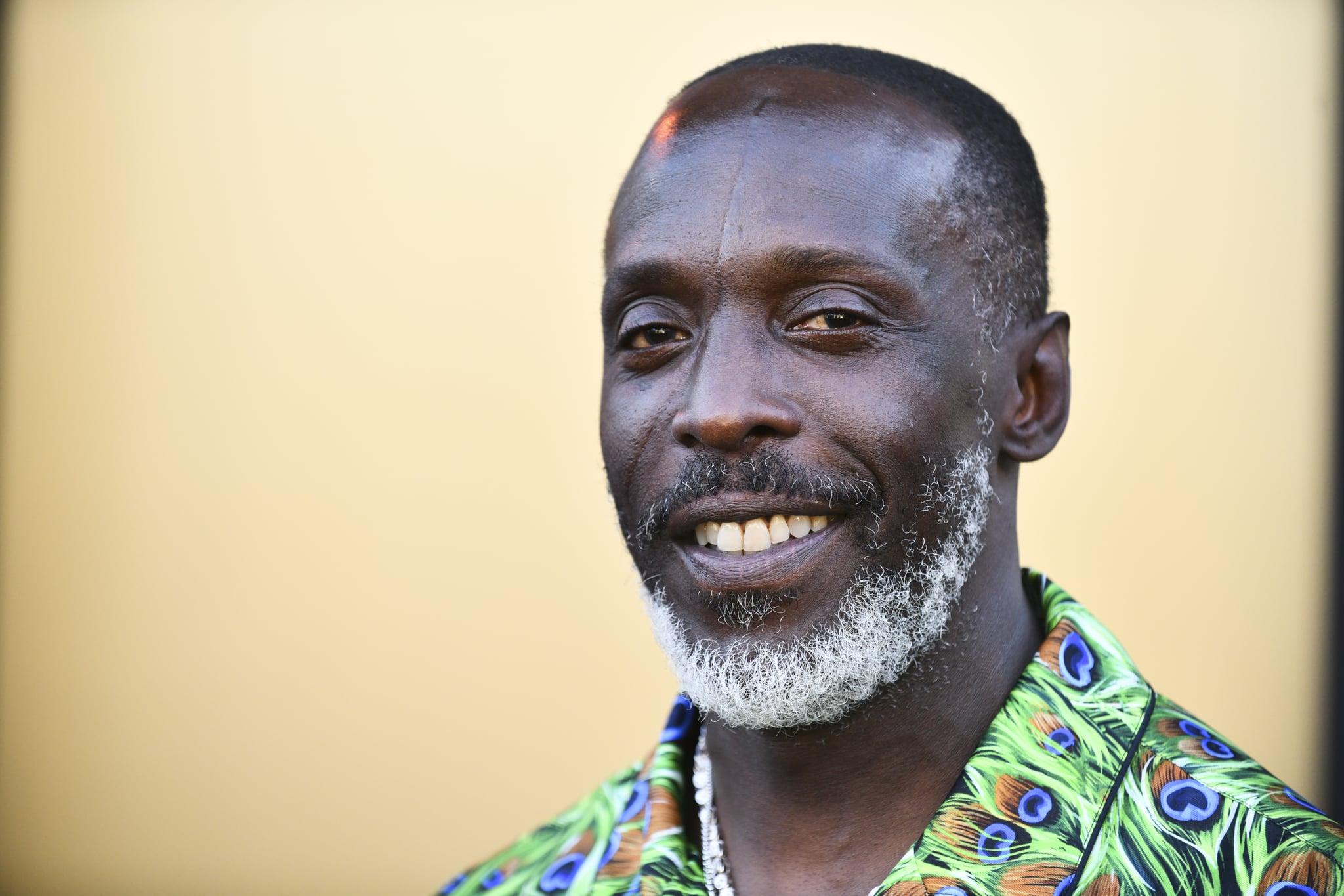 LOS ANGELES, CALIFORNIA - AUGUST 08: Michael K. Williams attends the Los Angeles premiere of MGM's 