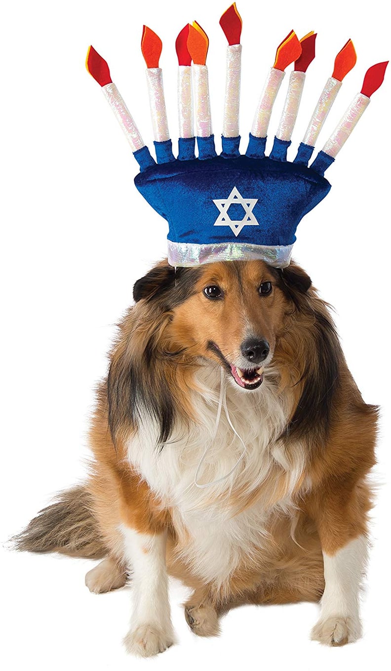 Hanukkah Pet Costume