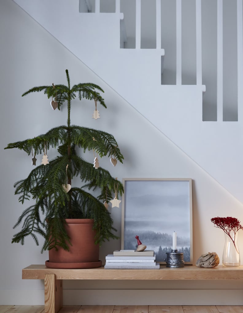 Varmer bench store