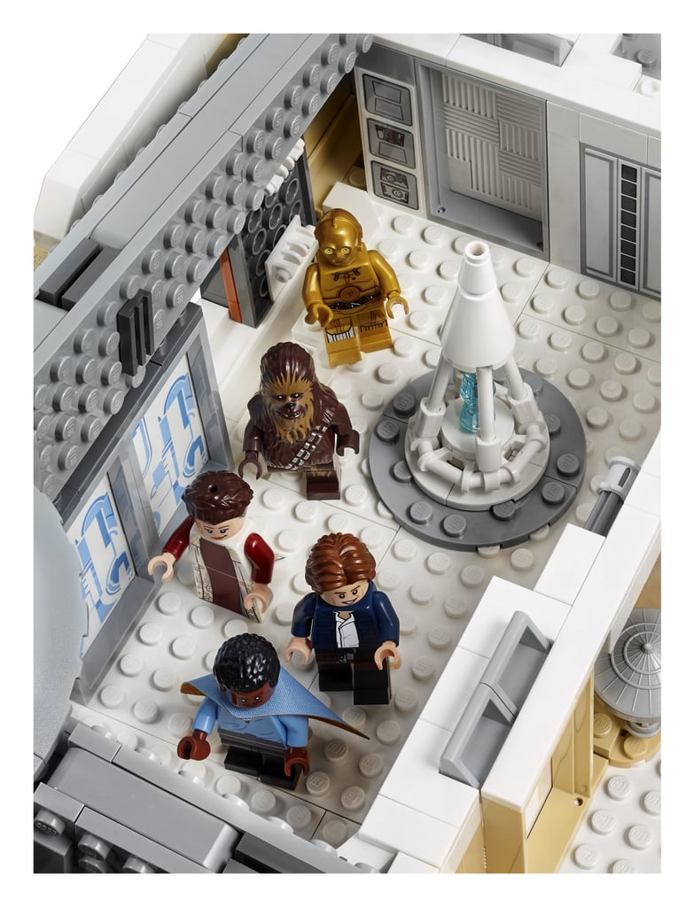 Section 4
