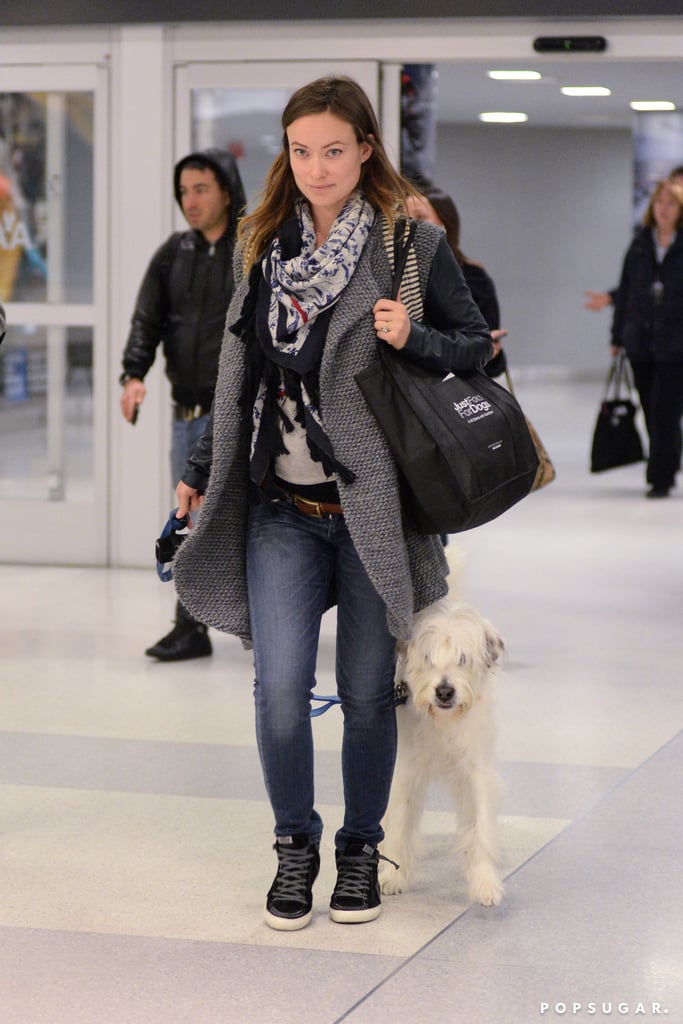 Olivia Wilde and Jason Sudeikis With Their Dog in NYC