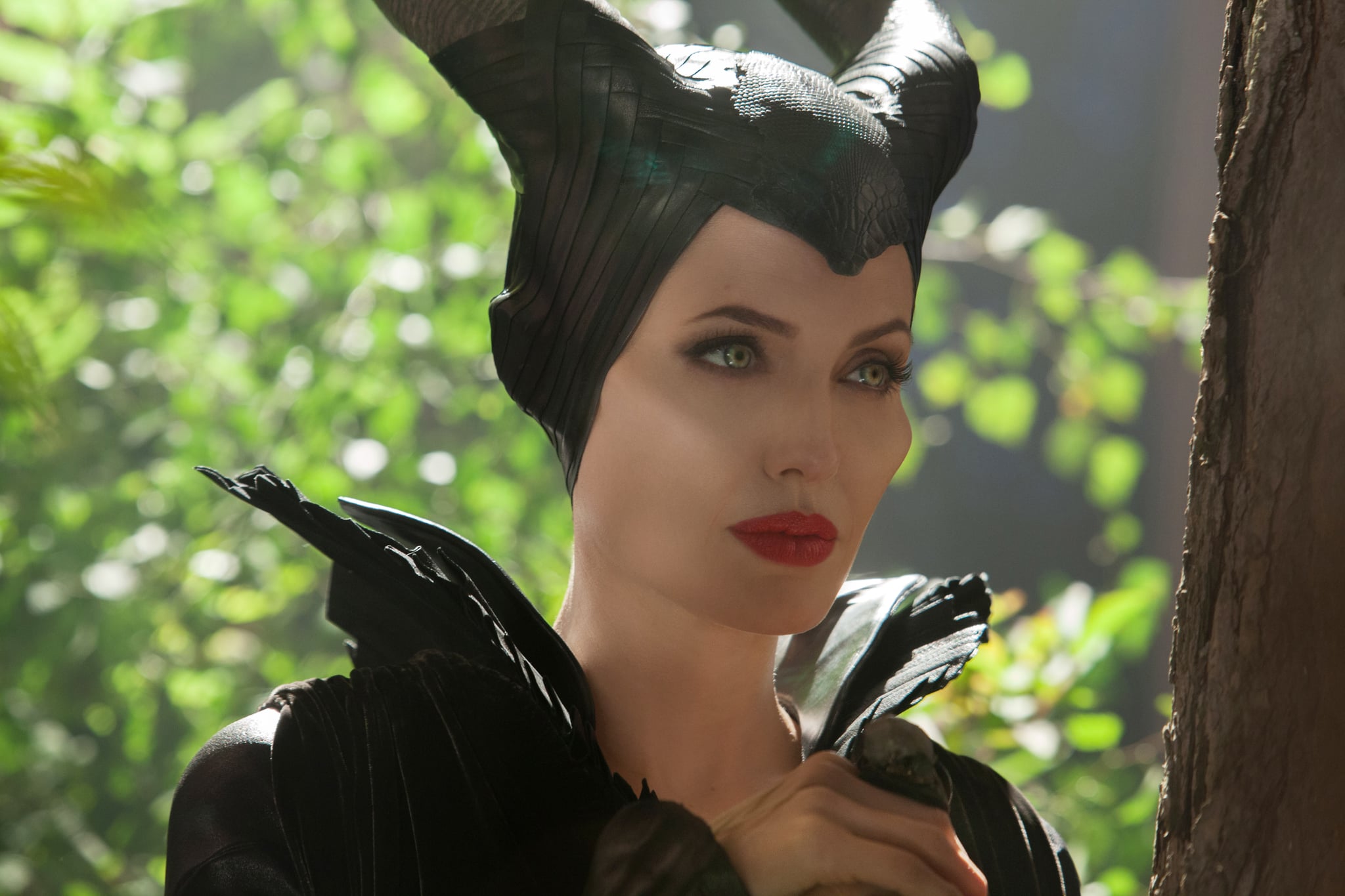 Maleficent Makeup Cheekbones