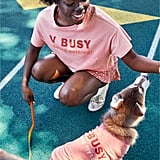 Aerie Happy Henley Everyday Polo 