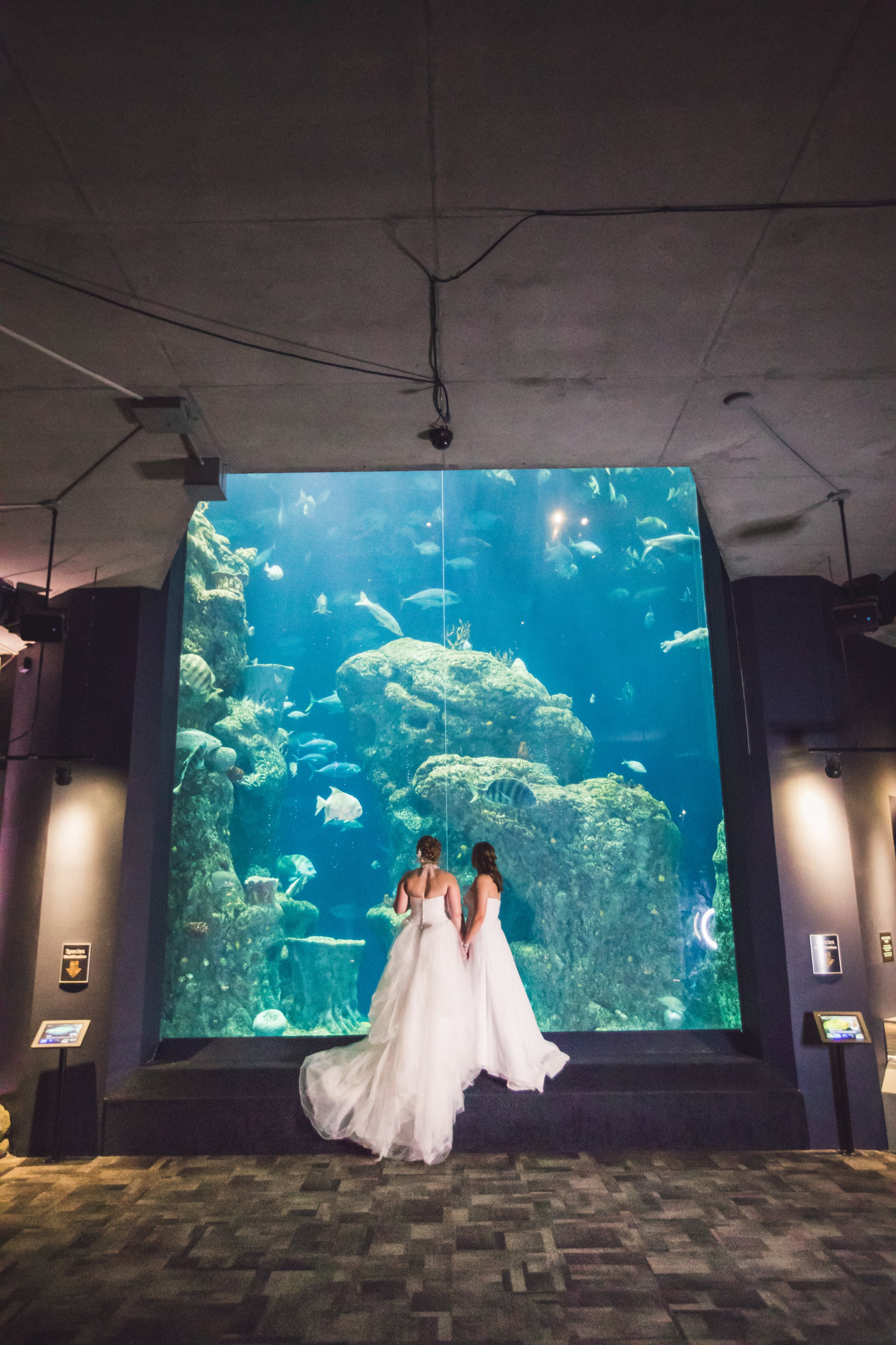Love Sex These Brides Tied The Knot At An Aquarium And