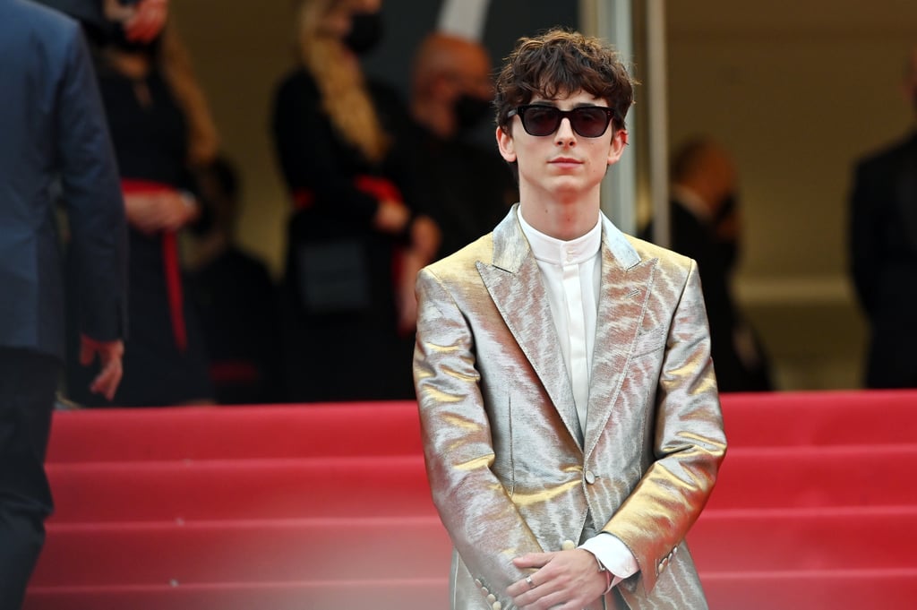 Timothée Chalamet Wears Silver Suit Outfit to Cannes: Photos