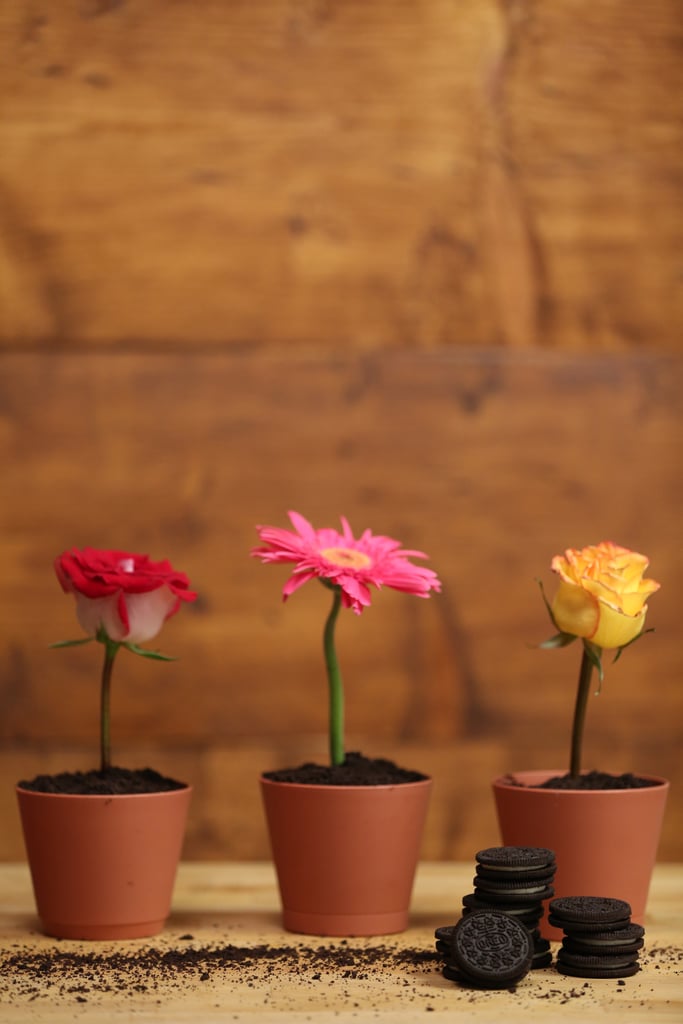 Flower-Pot Desserts