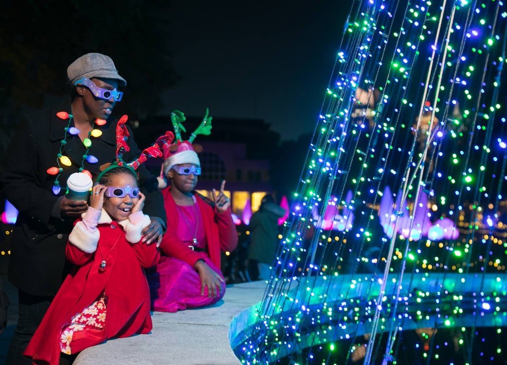 Atlanta Botanical Garden's Garden Lights